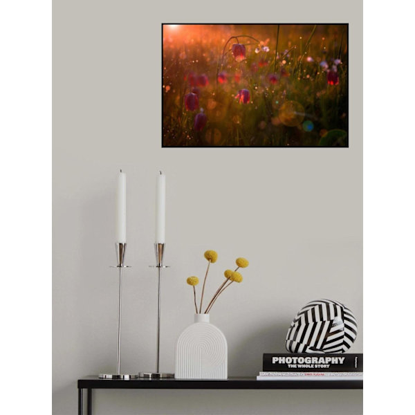 Potpourri MultiColor 70x100 cm