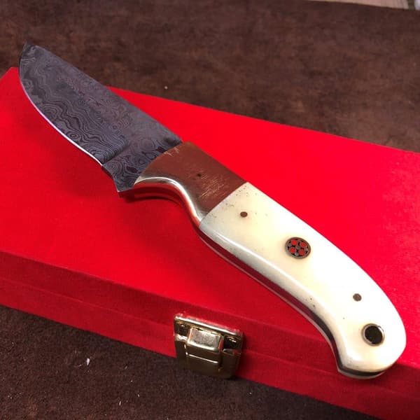 Handgjord Jaktkniv Damascus kamelben Vit