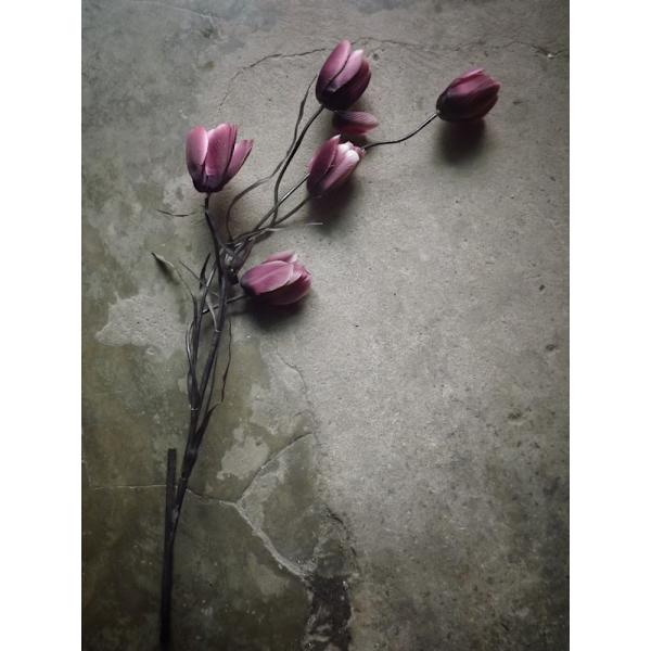 The Elegant Tulip MultiColor 70x100 cm