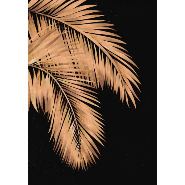 Golden Palms Black Copper 1 MultiColor 70x100 cm