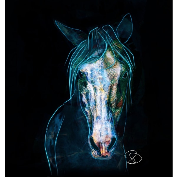 Blue Bashful Horse MultiColor 21x30 cm
