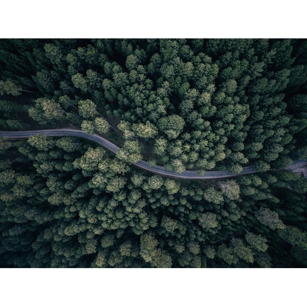 From Above MultiColor 21x30 cm