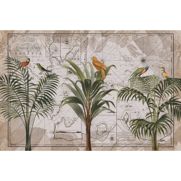 Indonesia Jungle Paradise No1 MultiColor 70x100 cm