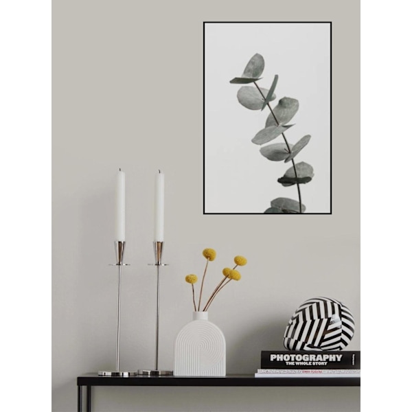 Eucalyptus Natural 06 MultiColor 50x70 cm
