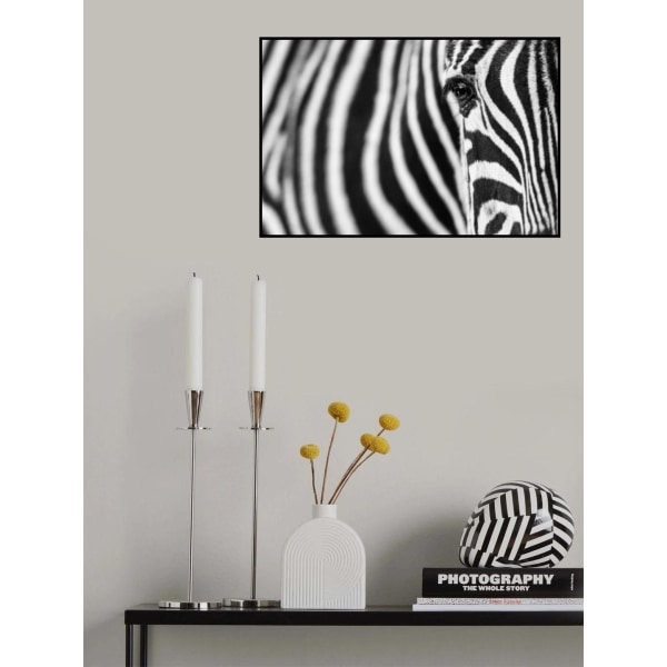 Zebra Stripes MultiColor 21x30 cm