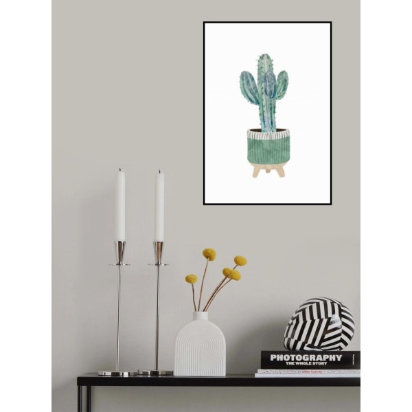 Boho Scandi Cactus 1 MultiColor 50x70 cm