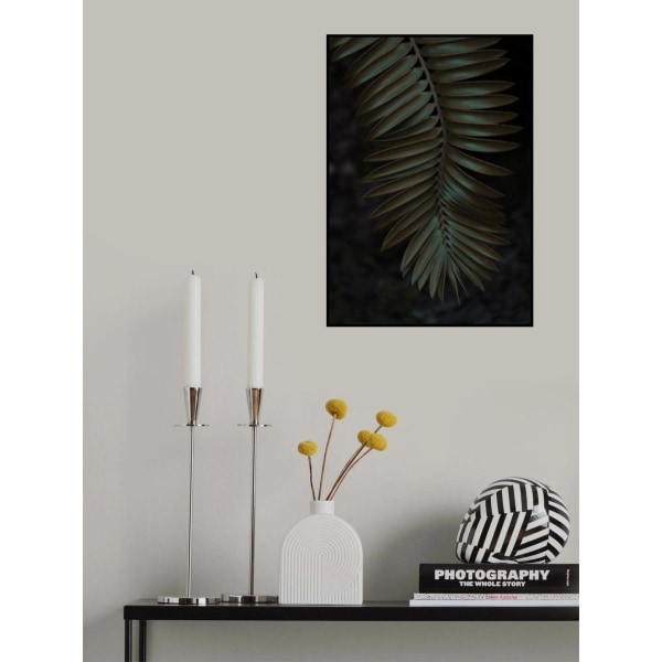 Cycad MultiColor 70x100 cm