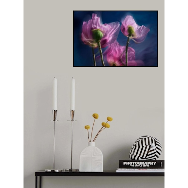 Poppies By The Wayside MultiColor 70x100 cm