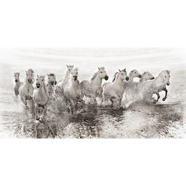 Illusion Of Power (13 Horse Power Though) MultiColor 70x100 cm