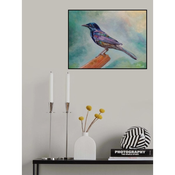 Dressed In Lights Common Grackle MultiColor 21x30 cm