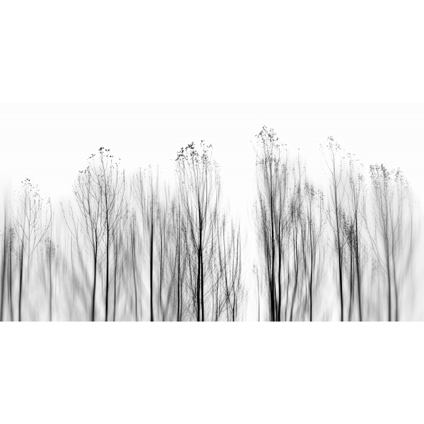 No Grounds MultiColor 50x70 cm