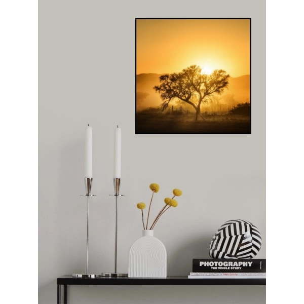 Golden Sunrise MultiColor 70x100 cm