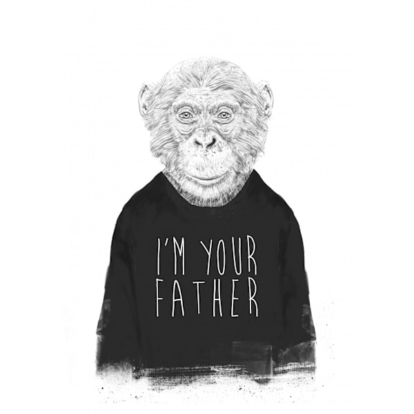 I'm Your Father MultiColor 50x70 cm