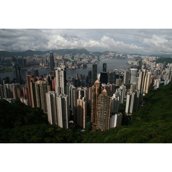 A View From The Peak MultiColor 70x100 cm