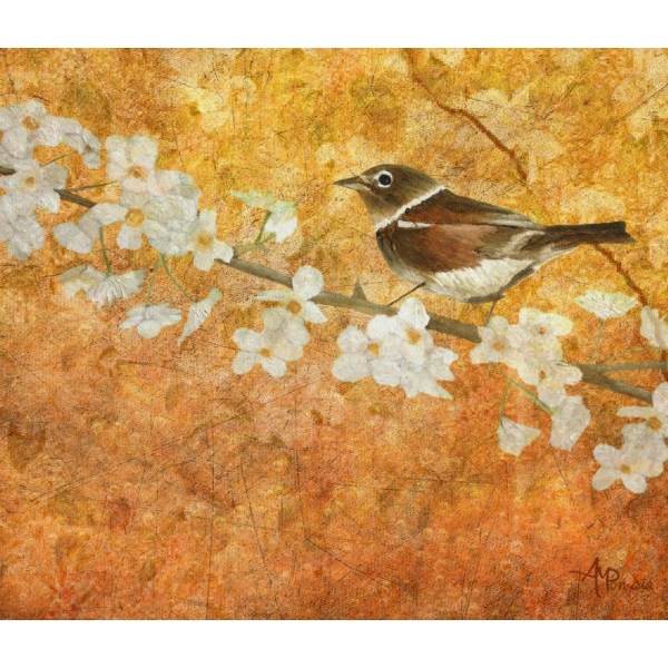 Nightingale's Solstice MultiColor 70x100 cm