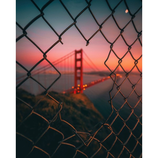 Golden Gate Caged MultiColor 50x70 cm