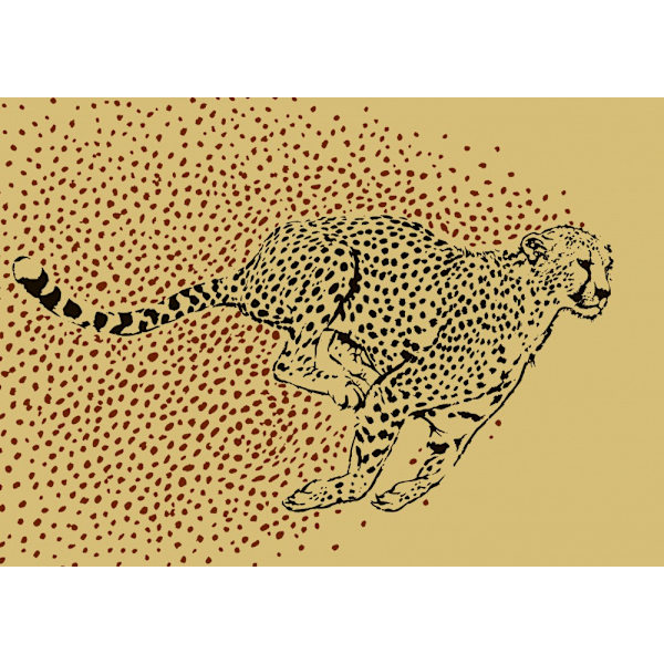 Cheetah Full Sprint MultiColor 21x30 cm