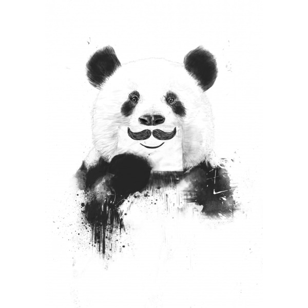 Sjov Panda MultiColor 70x100 cm