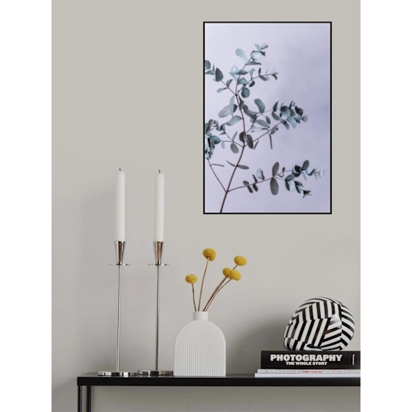 Eucalyptus 13 MultiColor 21x30 cm