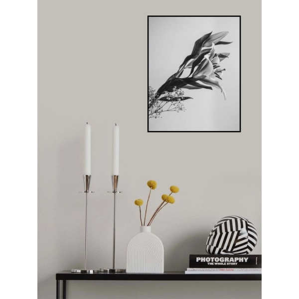 Kaunis kukka MultiColor 70x100 cm