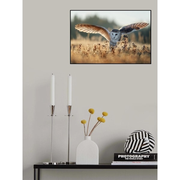Sunrise MultiColor 50x70 cm