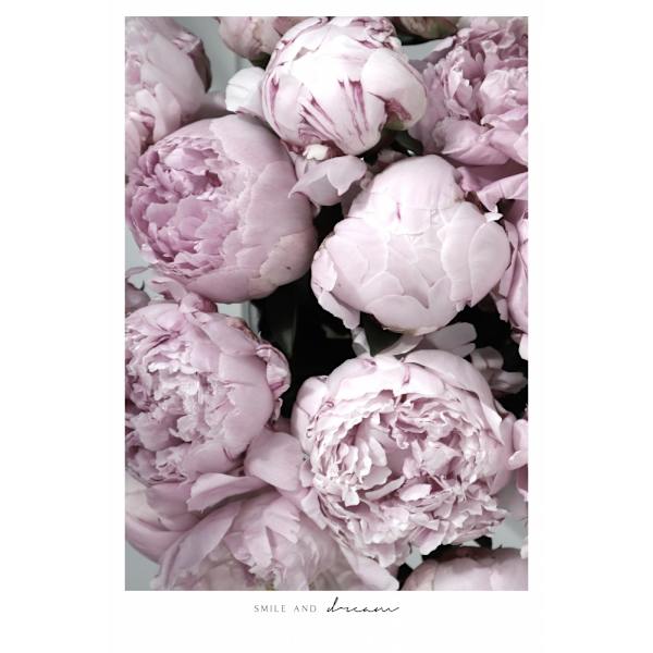 Smile And Dream Peonies MultiColor 50x70 cm