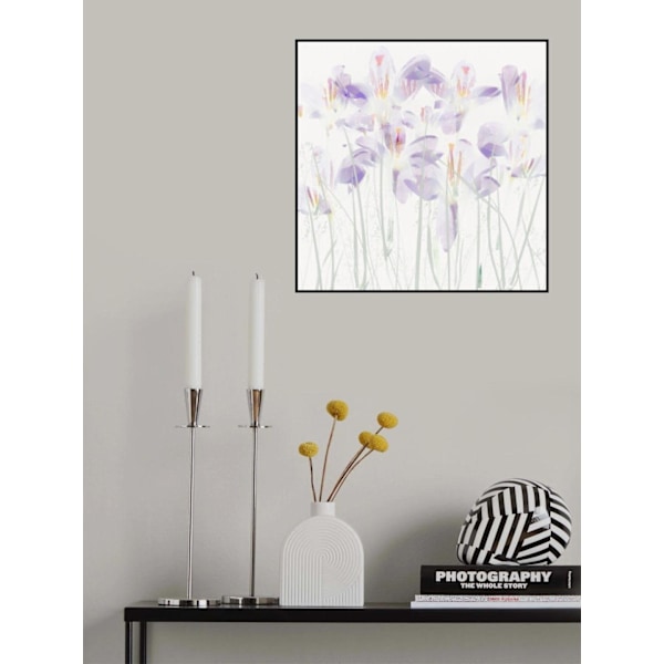Crocuses In The Grass MultiColor 30x40 cm