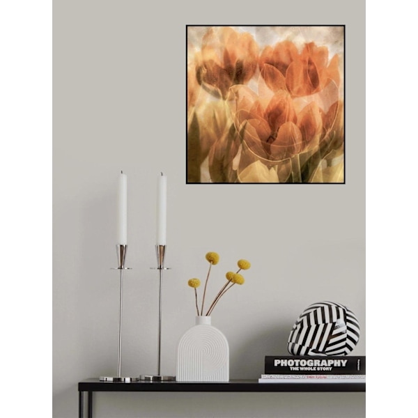 Tulips MultiColor 50x70 cm