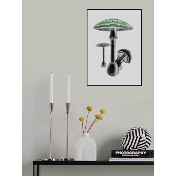 Amanita Muscaria White Background Green MultiColor 30x40 cm