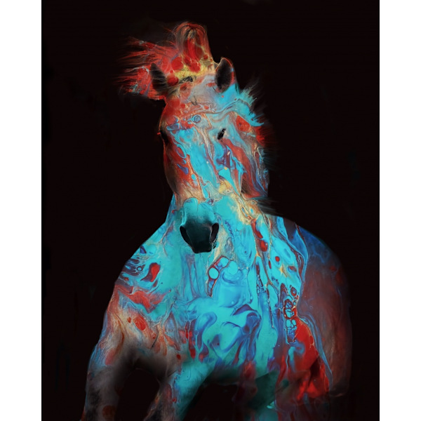 Running Bashful Horse MultiColor 50x70 cm