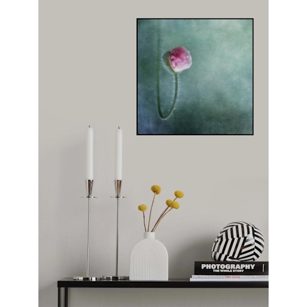 Trust MultiColor 70x100 cm
