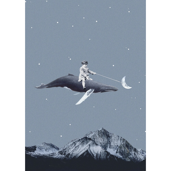 Aim For The Moon MultiColor 50x70 cm