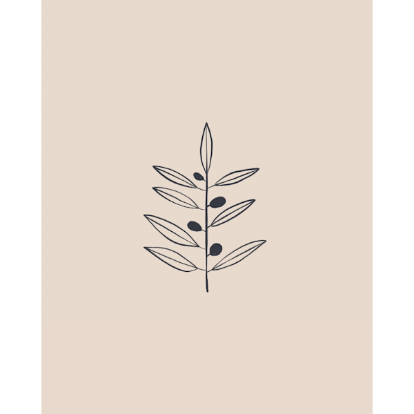 Olive Branche MultiColor 21x30 cm