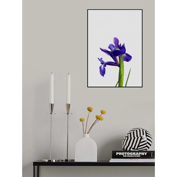 Iris Still Life MultiColor 21x30 cm