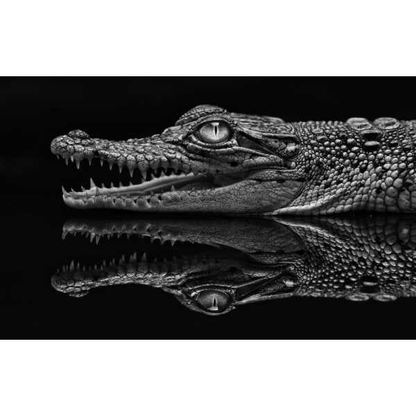 Dark Mirror MultiColor 50x70 cm