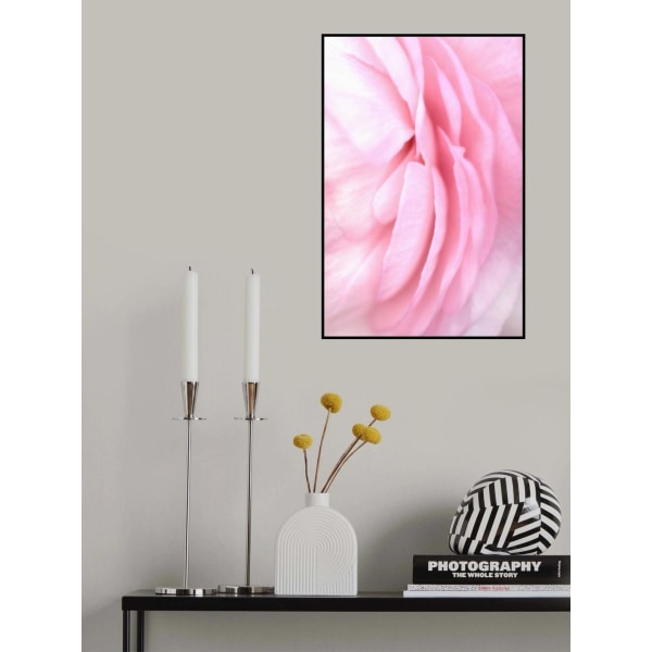 Soft Pink Petals MultiColor 70x100 cm