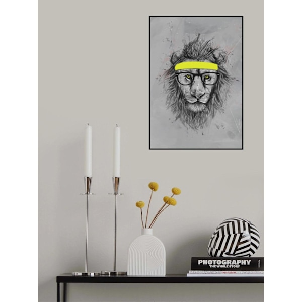 Hipster Lion MultiColor 30x40 cm