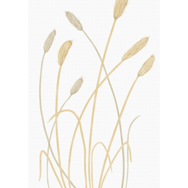Bunny Grass 01 MultiColor 21x30 cm