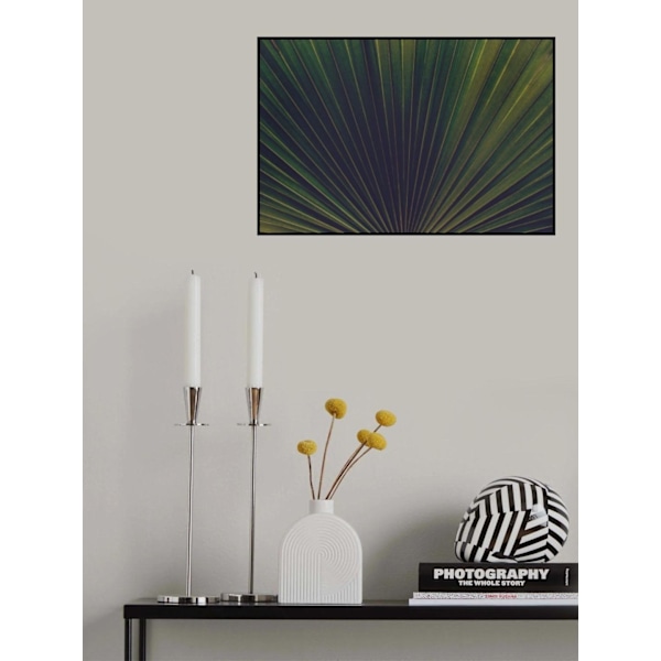 Palm Textures MultiColor 50x70 cm