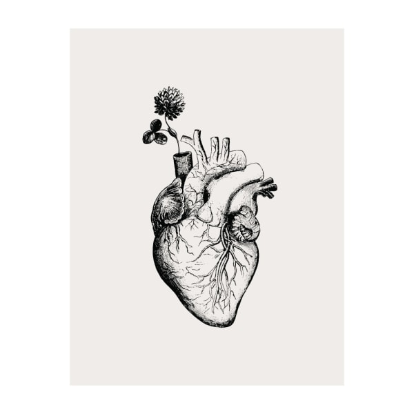 Heart Bloom MultiColor 70x100 cm