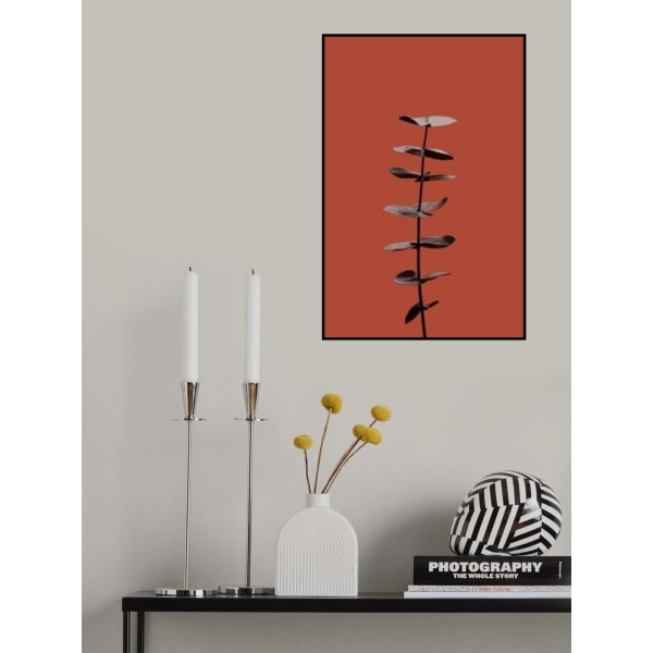 Eucalyptus Rust 04 MultiColor 70x100 cm