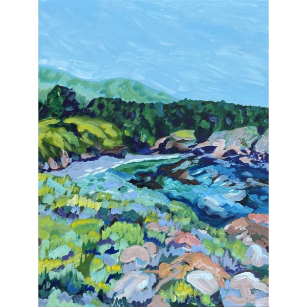 Point Lobos MultiColor 50x70 cm