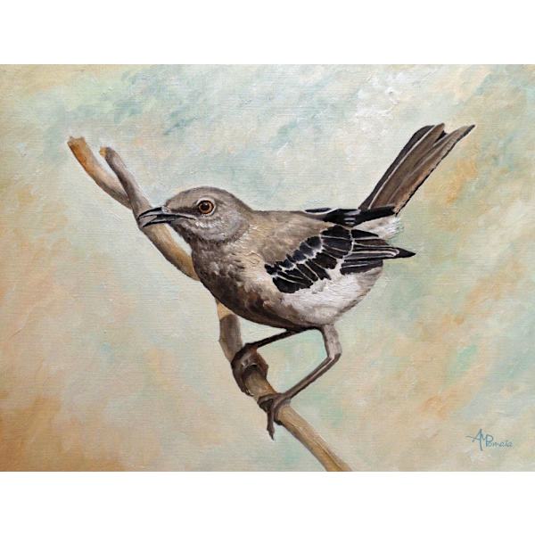 Sharp Eyed Mockingbird MultiColor 21x30 cm