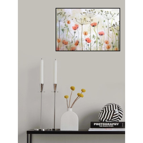 Poppy Meadow MultiColor 50x70 cm