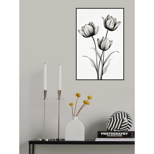 Black Tulips MultiColor 70x100 cm