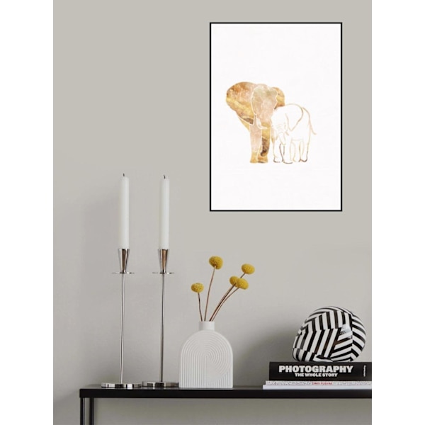 White Gold Elephants 2 MultiColor 50x70 cm