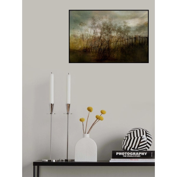 Vanha unelma MultiColor 50x70 cm