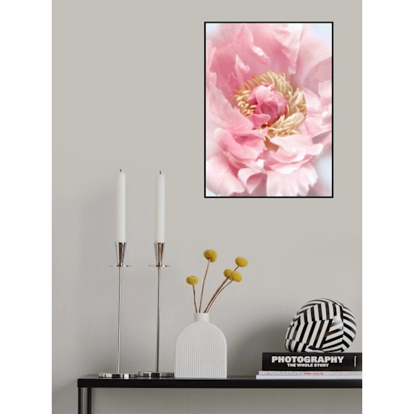 Blush Peony I MultiColor 21x30 cm