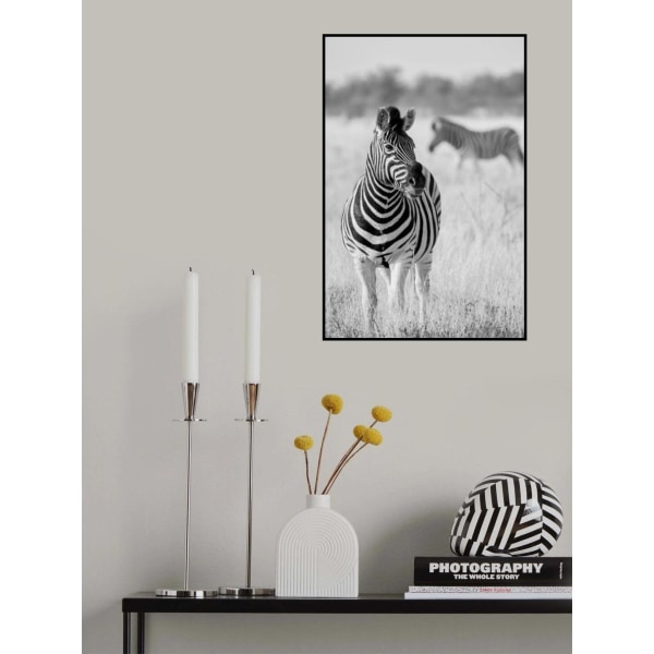 Zebra Bw MultiColor 70x100 cm