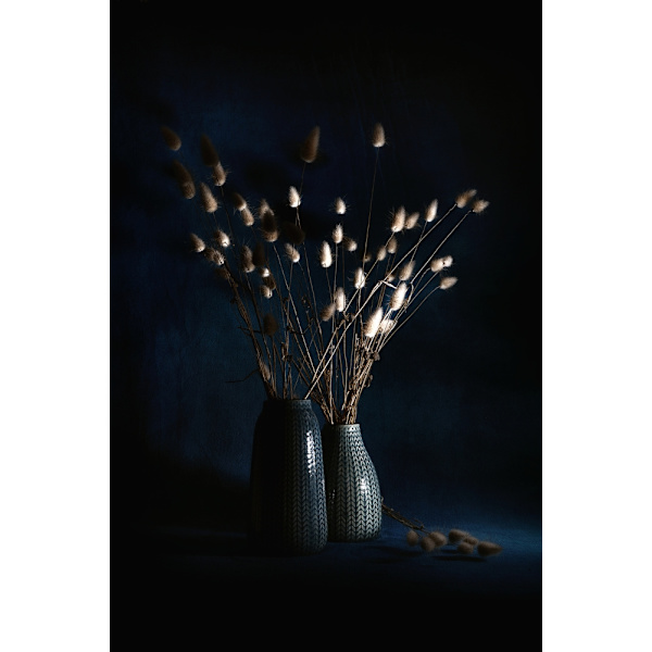 Poster MultiColor 70x100 cm